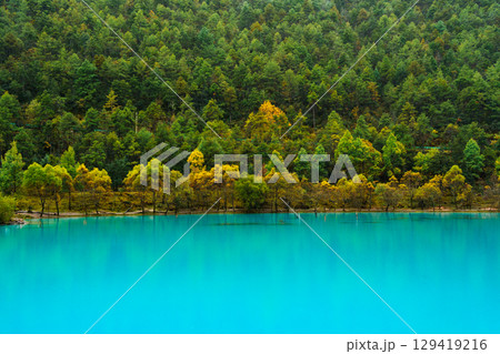 Turquoise Waters and Autumn Trees, Blue Moon Valley, Lijiang 129419216