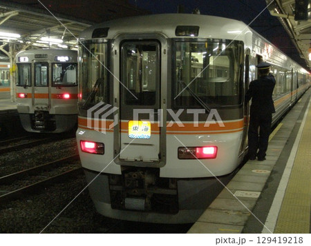 373系　特急「東海」 129419218
