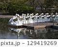 井の頭公園に並ぶスワンボート 129419269