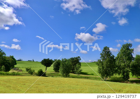 美瑛の大地と大空（北海道・美瑛町・びえいちょう） 129419737