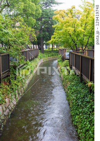 日本の岡山県倉敷市の美しい夏の雨の風景 129419748