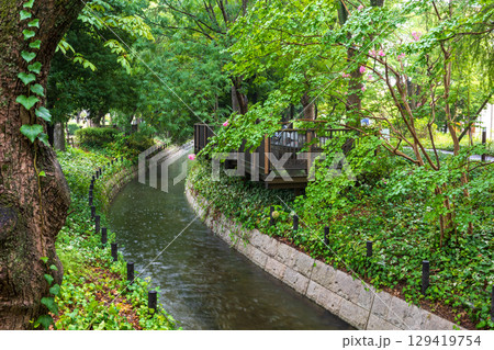 日本の岡山県倉敷市の美しい夏の雨の風景 129419754