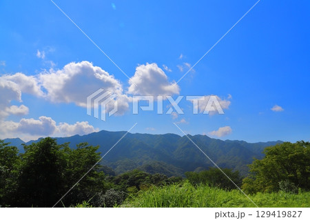 草原　樹木　青空　雲　山地 129419827