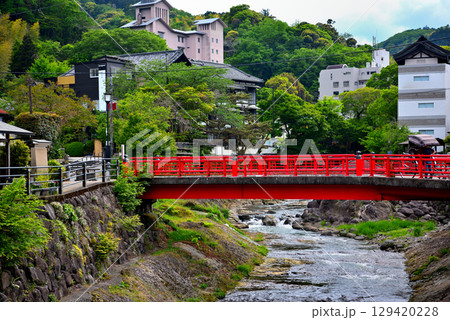 中部地方・伊豆修善寺・恋の橋めぐり、最初の橋の渡月橋より眺める虎渓橋・静岡県伊豆市修善寺(1) 129420228