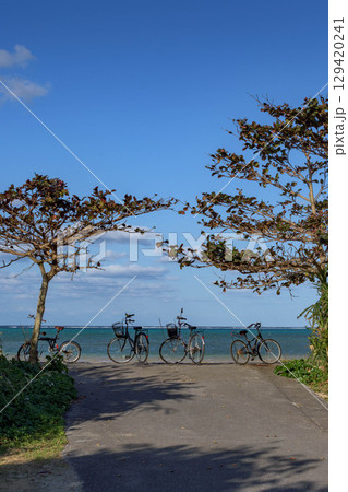 夏休み、海へ続く道と子供達の自転車 夏休み、海へ続く道と子供達の自転車 129420241