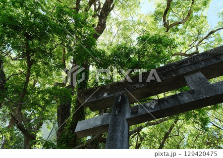 春の熊野古道。日本の古き道の景色。 春の熊野古道。日本の古き道の景色。 129420475