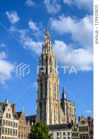 Belfry of Cathedral of Our Lady Roman Catholic church in Antwerp, Belgium, largest Gothic church in Belgium 129420635