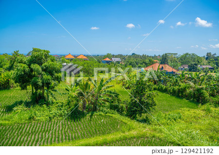 バリ島の青空と緑豊かな水田の田園風景 129421192