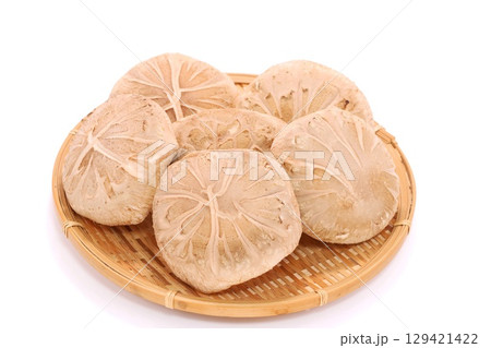 しいたけ　生どんこ　大きい　食材　明るい背景 129421422