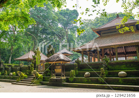 バリ島ウブドのモンキーフォレストにあるプラ・ダレム・アグン寺院 129421656