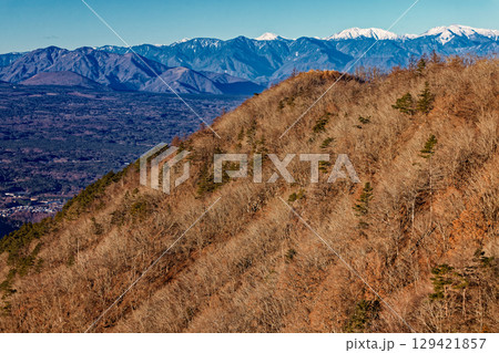 鹿留山への稜線から見る朝の杓子山山頂と毛無山・南アルプス 鹿留山への稜線から見る朝の杓子山山頂と毛無山・南アルプス 129421857