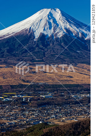 杓子山・鹿留山間の露岩から見る富士山 129421859