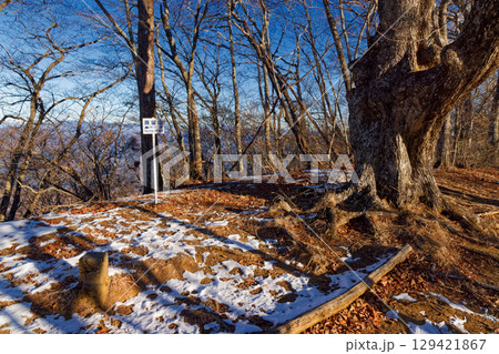 冬の鹿留山山頂の風景 冬の鹿留山山頂の風景 129421867