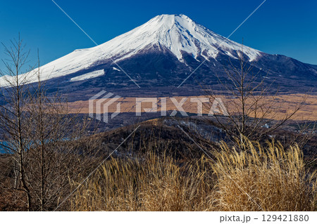 石割山から見る冬の富士山 石割山から見る冬の富士山 129421880