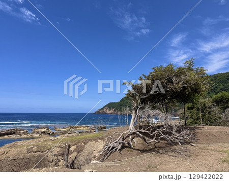 京丹後 五色浜からの景色 京丹後 五色浜からの景色 129422022