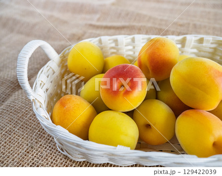 梅、白い籠 129422039