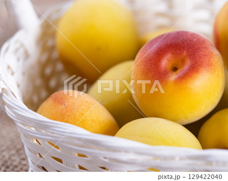 梅、白い籠 梅、白い籠 129422040