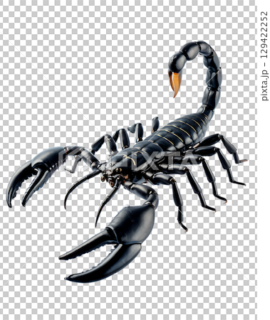 Black scorpion with large pincers and curved tail ready to strike. 129422252
