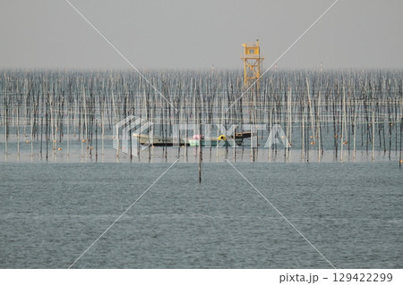 大牟田市 有明海 海苔畑、 大牟田市 有明海 海苔畑、 129422299