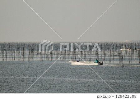 大牟田市 有明海 海苔畑、 大牟田市 有明海 海苔畑、 129422309