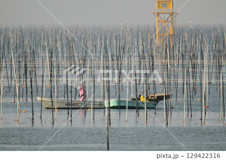 大牟田市 有明海 海苔畑、 大牟田市 有明海 海苔畑、 129422316