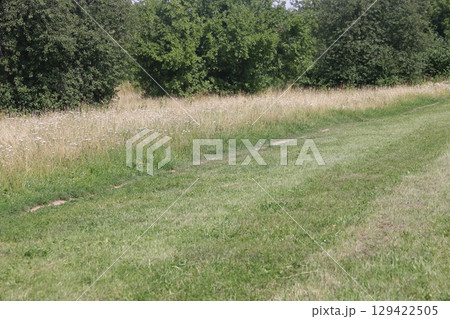 People walking on a trail in an open green field. 129422505