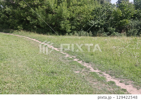 People walking on a trail in an open green field. 129422548