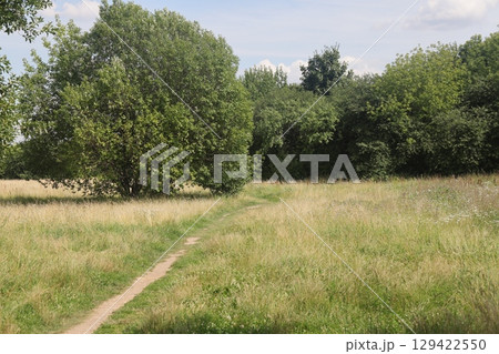 People walking on a trail in an open green field. 129422550