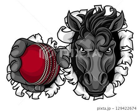 Horse Mustang Cricket Sports Team Mascot 129422674