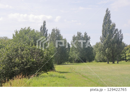 Summer in the landscape park Kolomenskoye in the district, Moscow, August 2022. 129422765