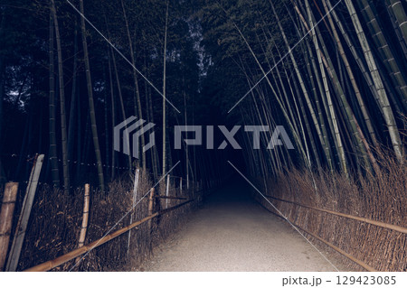 Flash of light cuts through Arashiyama bamboo grove before dawn, freezing the quiet rhythm of trunks 129423085