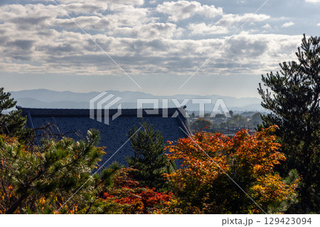View over Kyoto in autumn with vibrant maple trees, pine silhouettes and tiled temple roof 129423094