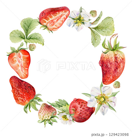Strawberry berries full and cut in half, flowers leaves wreath, water splash dew drops. Ripe garden pineberry strasberry. Isolated hand drawn watercolor circle frame. Dessert menu, food packaging Strawberry berries full and cut in half, flowers leaves wreath, water splash dew drops. Ripe garden pineberry strasberry. Isolated hand drawn watercolor circle frame. Dessert menu, food packaging 129423098