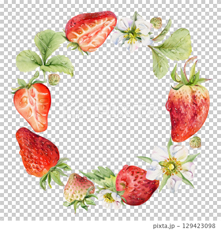 Strawberry berries full and cut in half, flowers leaves wreath, water splash dew drops. Ripe garden pineberry strasberry. Isolated hand drawn watercolor circle frame. Dessert menu, food packaging Strawberry berries full and cut in half, flowers leaves wreath, water splash dew drops. Ripe garden pineberry strasberry. Isolated hand drawn watercolor circle frame. Dessert menu, food packaging 129423098