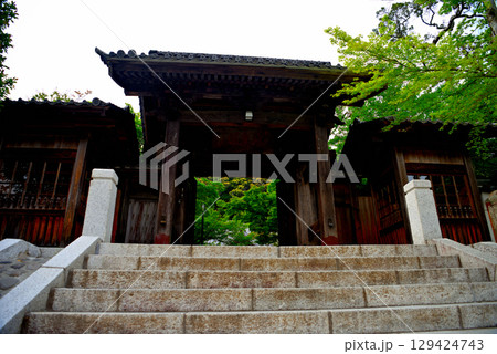 中部地方・伊豆修善寺温泉・ノスタルジックな風景、修禅寺の入口・静岡県伊豆市修善寺(7) 129424743