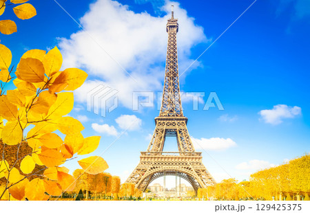 eiffel tower, France 129425375