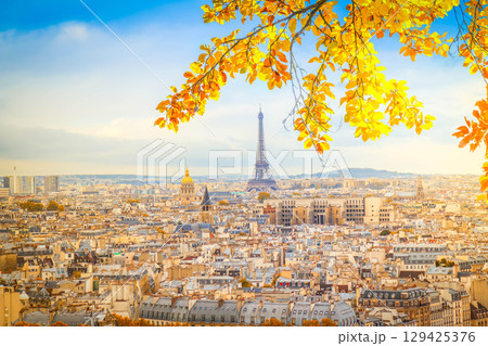 skyline of Paris with eiffel tower skyline of Paris with eiffel tower 129425376