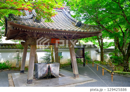 中部地方・伊豆修善寺温泉・修禅寺の境内にある、温泉が湧く珍しい手水舎・静岡県伊豆市修善寺(4) 129425886