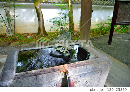 中部地方・伊豆修善寺温泉・修禅寺の境内、温泉が湧く珍しい手水舎の龍・静岡県伊豆市修善寺(3) 129425889