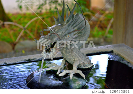 中部地方・伊豆修善寺温泉・修禅寺の境内、温泉が湧く珍しい手水舎の龍・静岡県伊豆市修善寺(5) 129425891