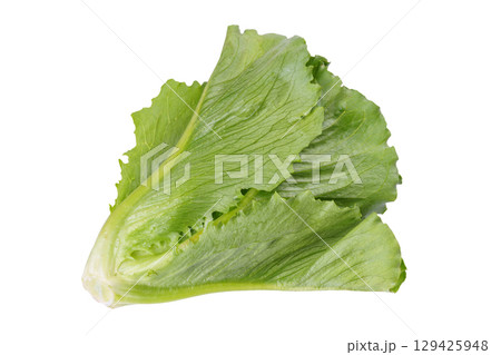 Whole fresh ramen salad, lettuce head isolated on white background, healthy raw leafy vegetable 129425948