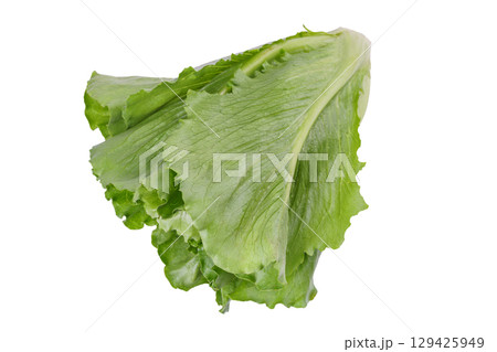 Whole fresh ramen salad, lettuce head isolated on white background, healthy raw leafy vegetable Whole fresh ramen salad, lettuce head isolated on white background, healthy raw leafy vegetable 129425949