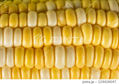 Fresh raw ripe corn cob with bright kernels macro Fresh raw ripe corn cob with bright kernels macro 129426047