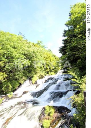 竜頭の滝 竜頭の滝 129427850