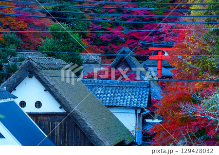鮮やかな紅葉の奥嵯峨 鳥居本 鮮やかな紅葉の奥嵯峨 鳥居本 129428032