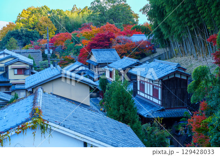 鮮やかな紅葉の奥嵯峨　鳥居本 129428033