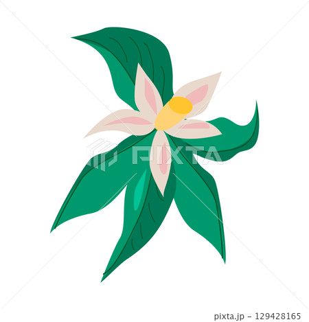 Orange blossom flower illustration with green leaves 129428165