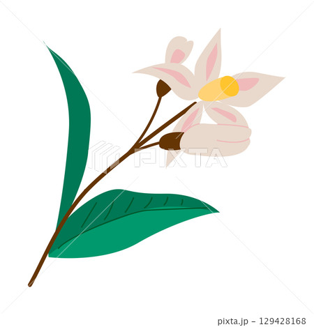 Orange blossom flower with green leaves 129428168