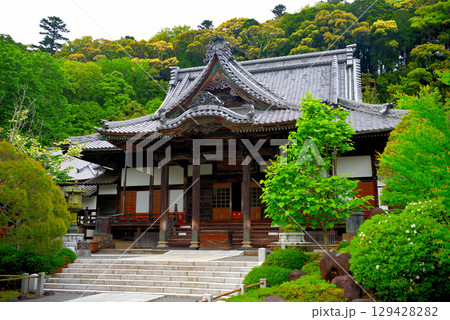 中部地方・伊豆修善寺温泉・歴史を感じさせる境内に建つ修禅寺の本堂・静岡県伊豆市修善寺(2) 129428282