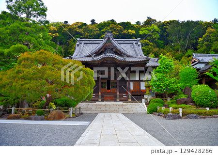 中部地方・伊豆修善寺温泉・歴史を感じさせる境内に建つ修禅寺の本堂・静岡県伊豆市修善寺(6) 中部地方・伊豆修善寺温泉・歴史を感じさせる境内に建つ修禅寺の本堂・静岡県伊豆市修善寺(6) 129428286